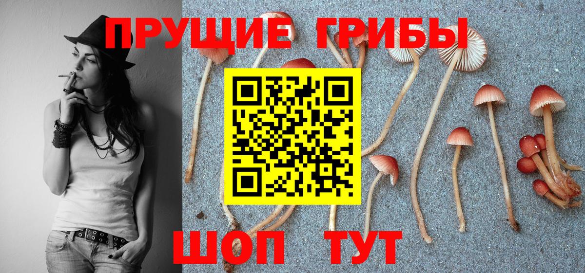 Майский  Псилоцибиновые грибы GOLDEN TEACHER  Вход с VPN 